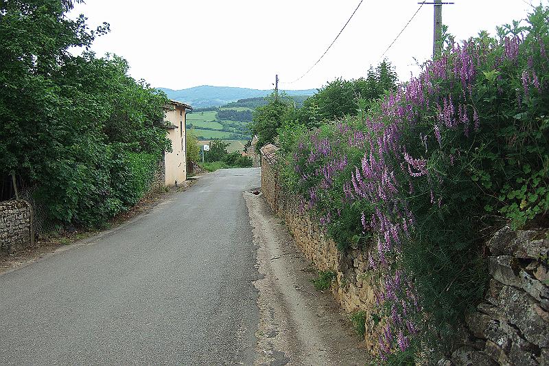 2010-06- (57).JPG